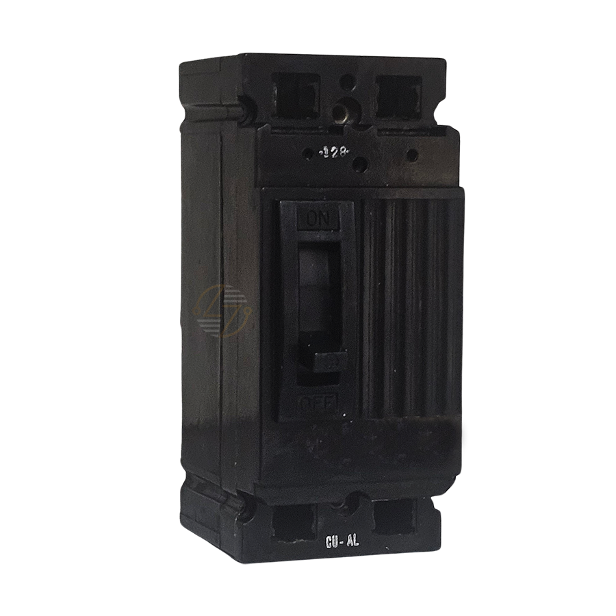 TEF124100 - 100Amp Circuit Breaker