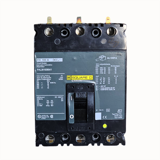 FHL361008041 - 100 Amp Circuit Breaker