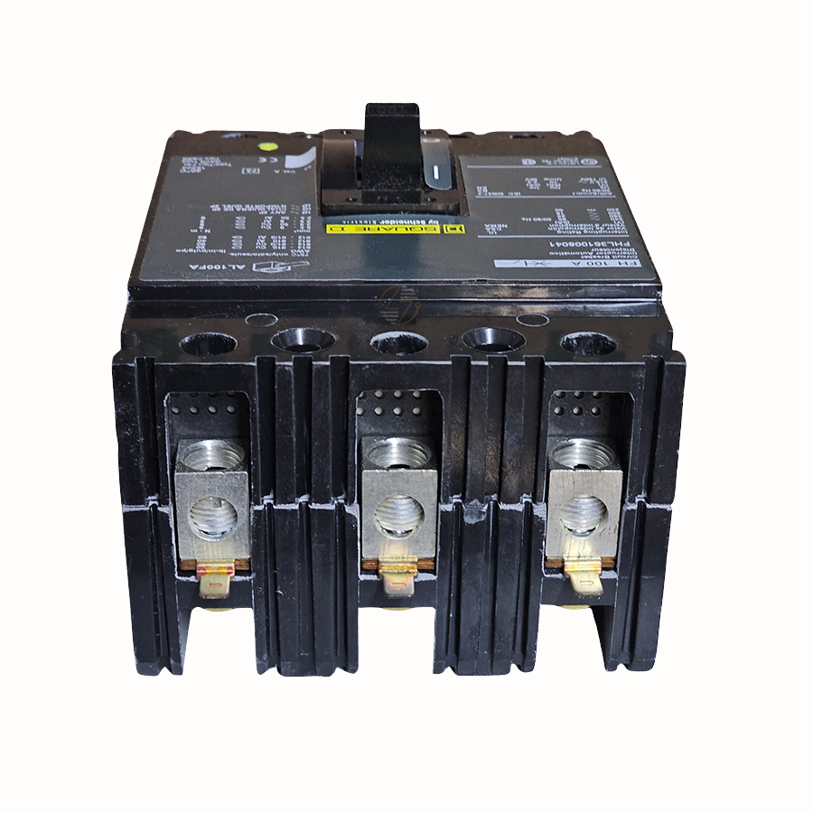 FHL361008041 - 100 Amp Circuit Breaker